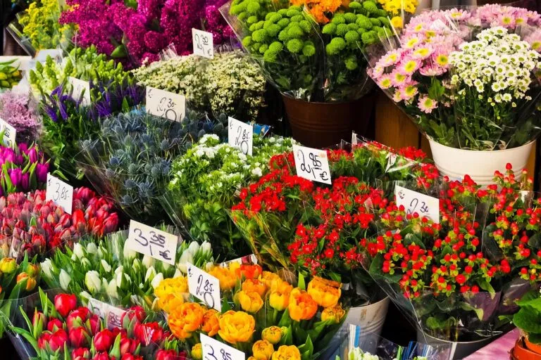 Artisan Fleuriste
