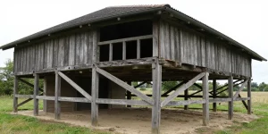 comment entretenir sa charpente